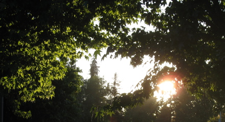 sun1.jpg