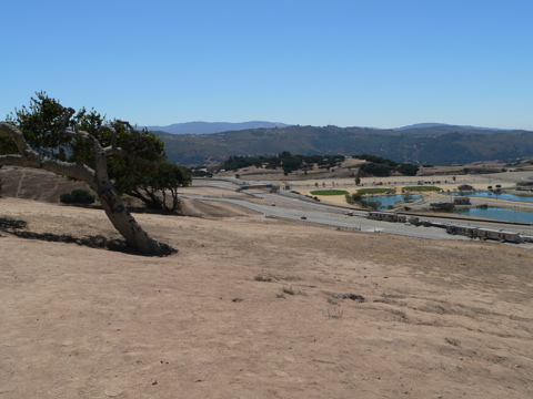 P1000480