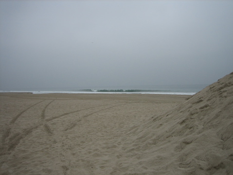 IMG_0703.JPG