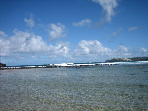 IMG_1361.JPG