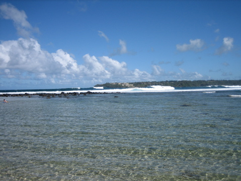 IMG_1377.JPG