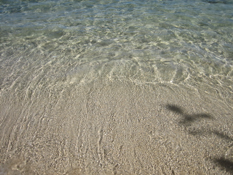 IMG_1379.JPG
