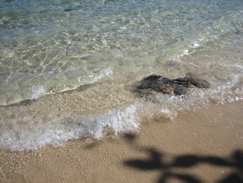 IMG_1380.JPG