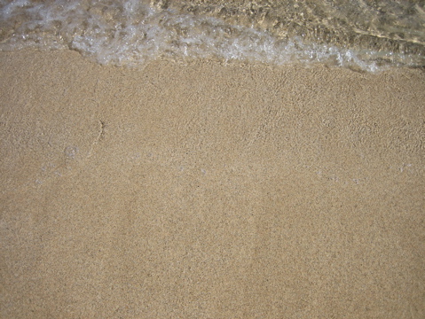 IMG_1381.JPG