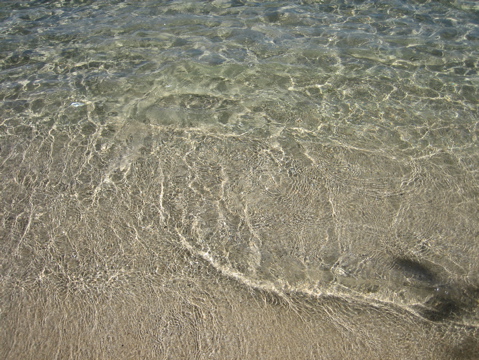 IMG_1383.JPG