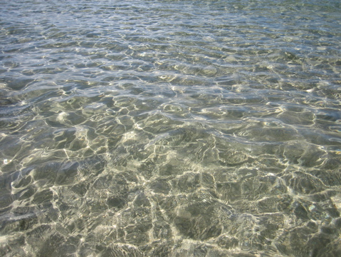 IMG_1397.JPG