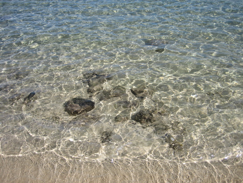 IMG_1398.JPG