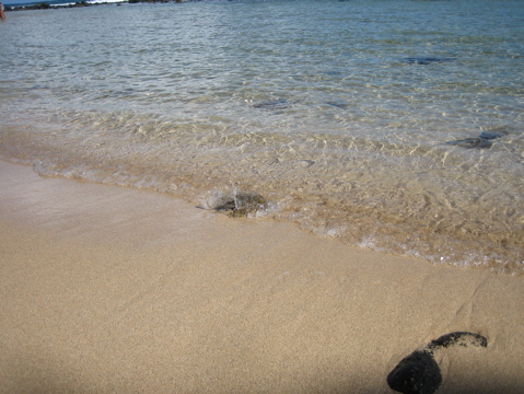 IMG_1400.JPG