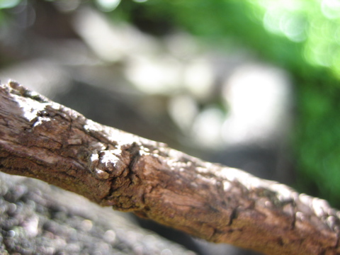 IMG_1422.JPG