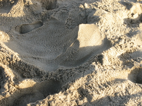 IMG_1575.JPG