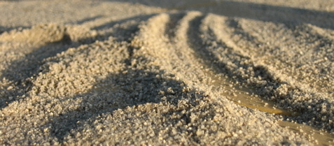 IMG_1580.JPG