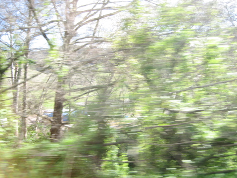IMG_1823.JPG