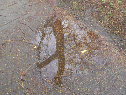 P1000899.JPG