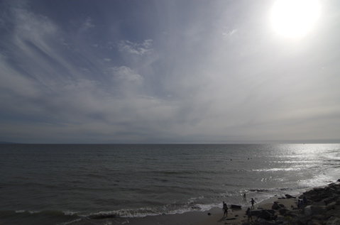 DSC_0049.NEF