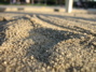 IMG_1584.JPG