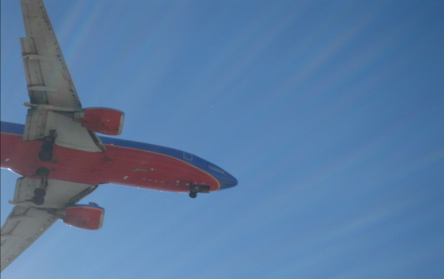 flight.jpg