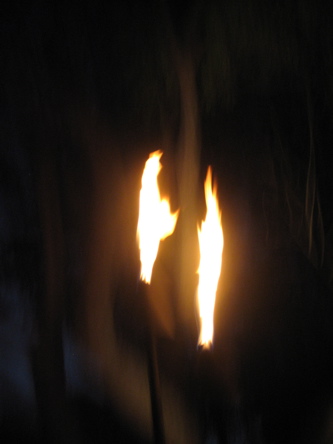 torches1.jpg