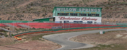 willow.jpg